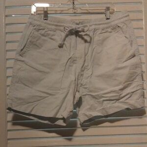 Zara Men's Lightest Blue Flat Front Shorts